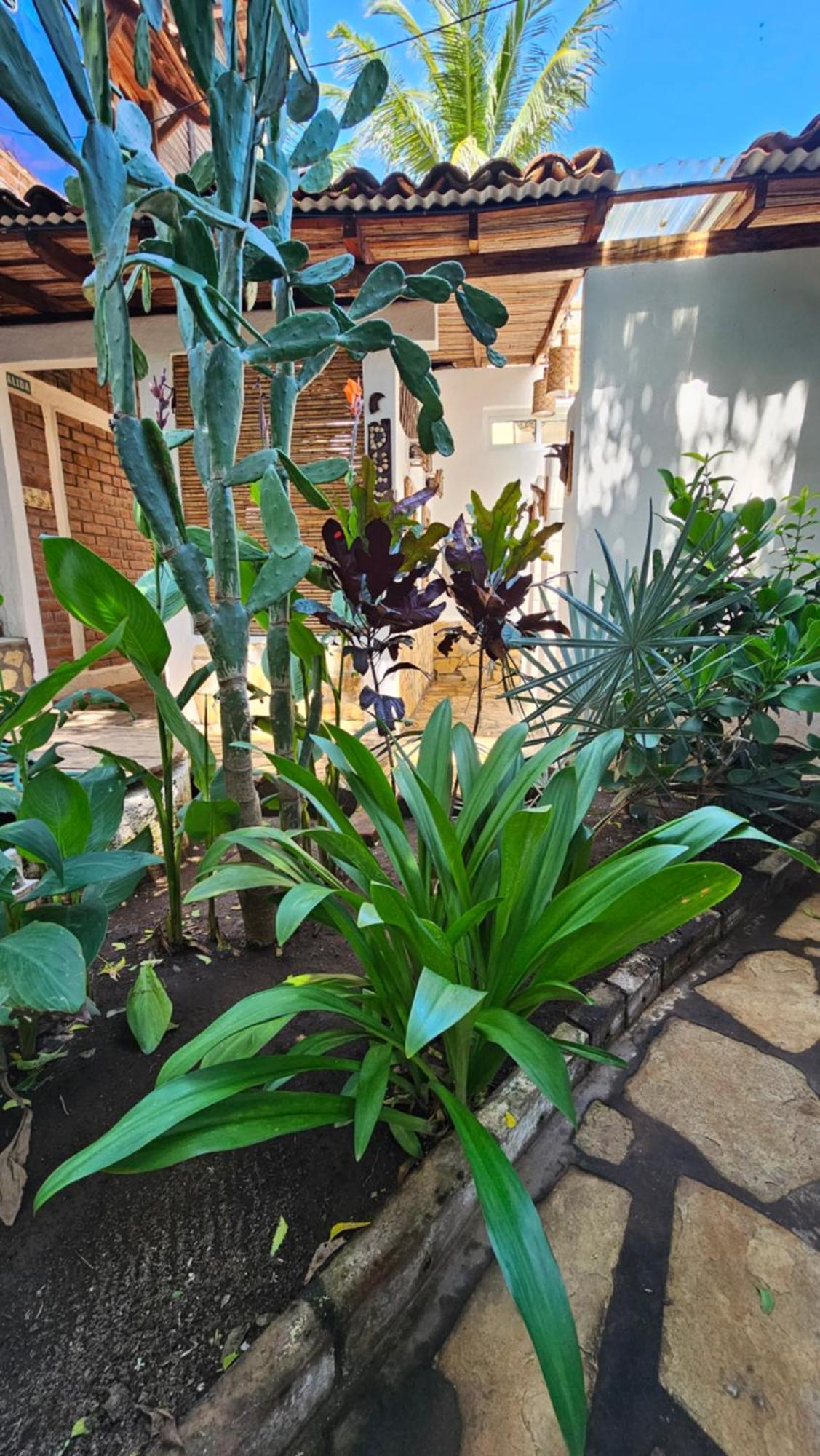 Mano A Mano Eco Hostal Las Peñitas Dış mekan fotoğraf