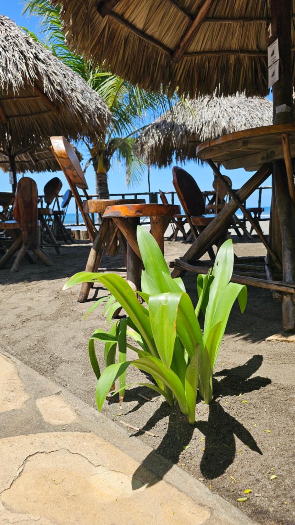 Mano A Mano Eco Hostal Las Peñitas Dış mekan fotoğraf
